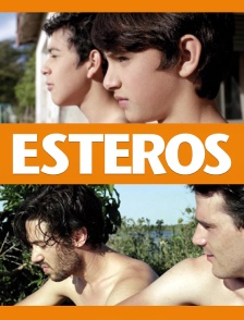Esteros