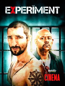 Molotov Channels Cinéma - The Experiment