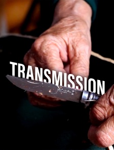 Transmission