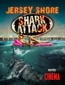 Jersey Shore Shark Attack