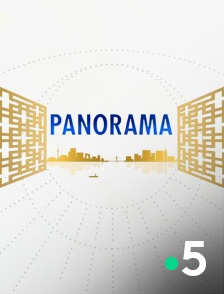 France 5 - Panorama