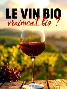 Le vin bio, vraiment bio ?