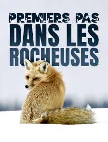 Premiers pas dans les Rocheuses