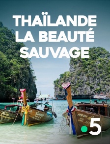 France 5 - Thaïlande, la beauté sauvage