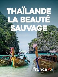 france.tv - Thaïlande, la beauté sauvage