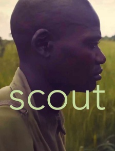 Scout