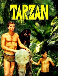 Tarzan