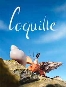 Sous les coquilles