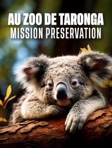 Au zoo de Taronga : Mission préservation