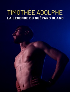 Timothée Adolphe, la légende du guépard blanc