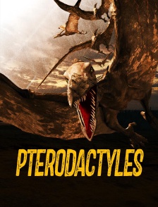 Ptérodactyles