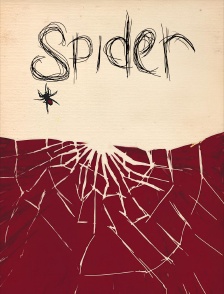 Spider