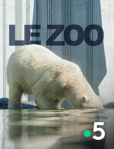 France 5 - Le zoo