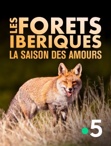 Les forêts ibériques