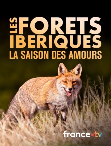 France.tv - Les forêts ibériques