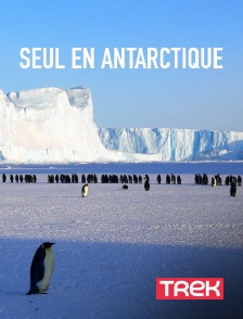 Trek - Seul en Antarctique