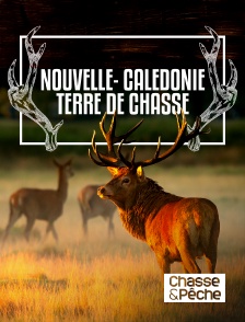 Chasse et pêche - Nouvelle-Calédonie terre de chasse