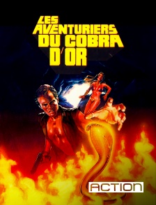 ACTION - Les aventuriers du cobra d'or