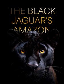 The Black Jaguar's Amazon