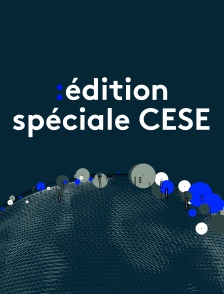 Edition spéciale CESE - Donnons de la voix à la démocratie