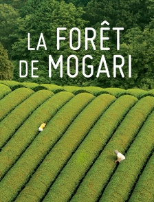 La Forêt de Mogari