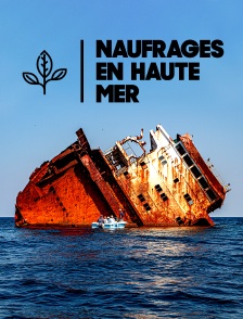 Naufrages en haute mer