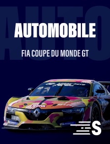 Sport en France - Automobile : FIA Coupe du monde GT