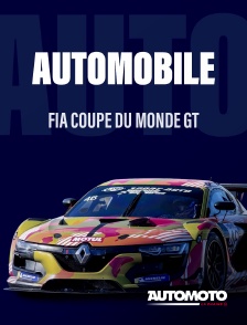 Automoto - Automobile : FIA Coupe du monde GT
