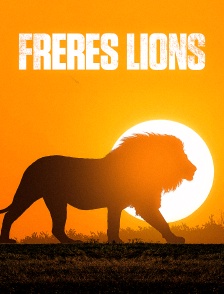 Frères lions