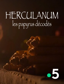 France 5 - Herculanum, les papyrus décodés