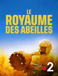 France 2 - Honeyland