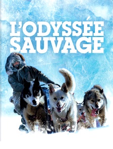 L'odyssée sauvage