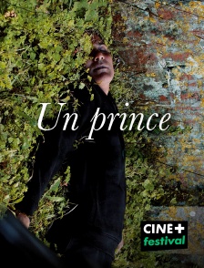 CINE+ Festival - Un prince