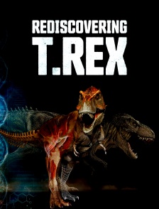 Rediscovering T-Rex