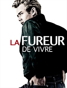 La fureur de vivre