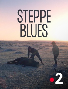 France 2 - Steppe blues