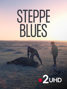 France 2 UHD - Steppe blues