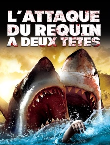 L'attaque du requin à deux têtes