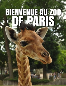 Bienvenue au zoo de Paris
