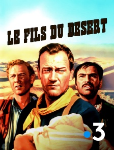 France 3 - Le fils du désert