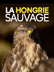 La Hongrie sauvage