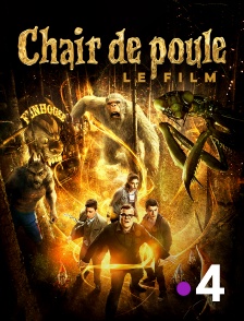 France 4 - Chair de poule : le film