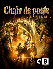 C8 - Chair de poule : le film