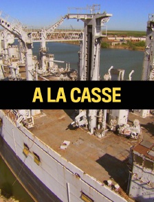 MEGASTRUCTURES