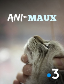 France 3 - Ani-maux