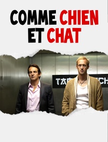 Comme chien et chat