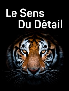 Le sens du détail