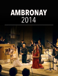 Ambronay 2014