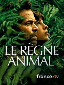 france.tv - Le Règne animal