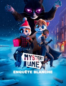 Mystery Lane, Enquête blanche